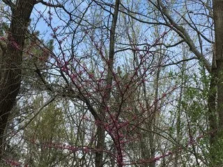 $111,000 | T 27 North R 13w, Watseka, IL 60970