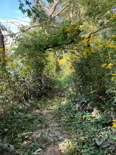 $111,000 | T 27 North R 13w, Watseka, IL 60970