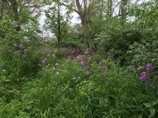 $111,000 | T 27 North R 13w, Watseka, IL 60970