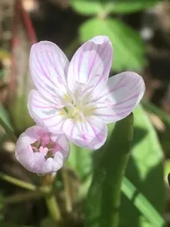 $111,000 | T 27 North R 13w, Watseka, IL 60970