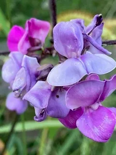 $111,000 | T 27 North R 13w, Watseka, IL 60970