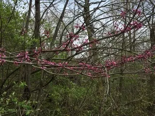 $111,000 | T 27 North R 13w, Watseka, IL 60970