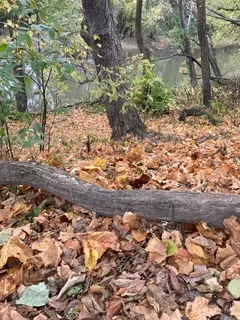 $111,000 | T 27 North R 13w, Watseka, IL 60970