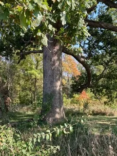 $111,000 | T 27 North R 13w, Watseka, IL 60970