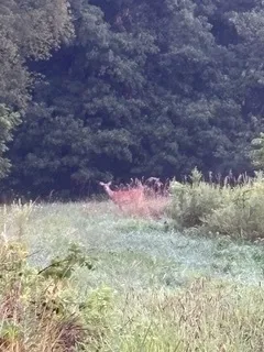 $111,000 | T 27 North R 13w, Watseka, IL 60970