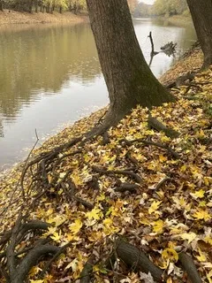 $111,000 | T 27 North R 13w, Watseka, IL 60970