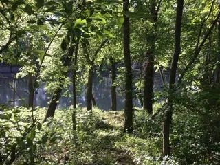 $111,000 | T 27 North R 13w, Watseka, IL 60970