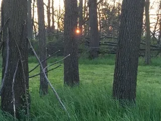 $111,000 | T 27 North R 13w, Watseka, IL 60970