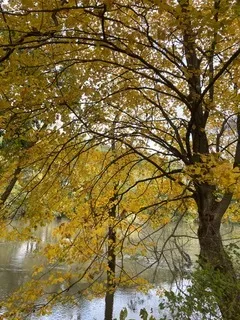 $111,000 | T 27 North R 13w, Watseka, IL 60970