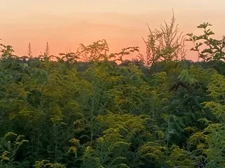 $111,000 | T 27 North R 13w, Watseka, IL 60970