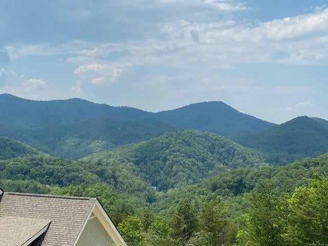 83 Redtail Road Sevierville, TN 37862 - Photo 7 of 8 Gallery Image 7
