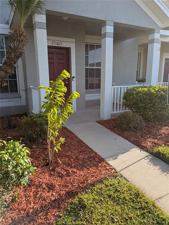 25403 Saddlehorn Way Land O Lakes, FL 34639 - Photo 1 of 18 a view of a back yard of the house