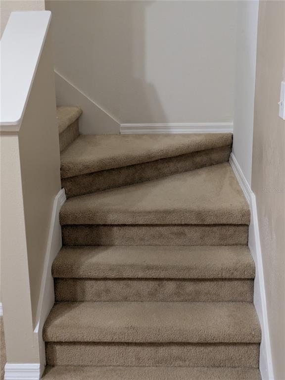 25403 Saddlehorn Way Land O Lakes, FL 34639 - Photo 10 of 18