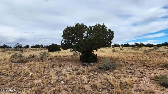 $43,000 | 5184 South Starlit Trail, Williams, AZ 86046
