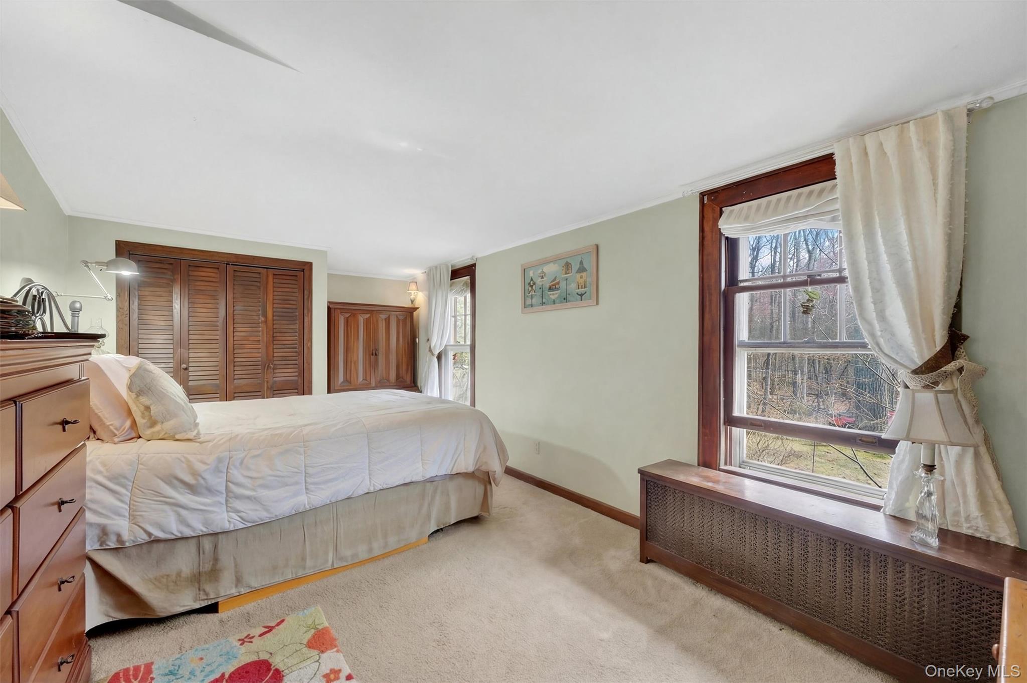 13 Perry Trail Carmel, NY 10512 - Photo 18 of 49 Front-facing primary bedroom with dual closets