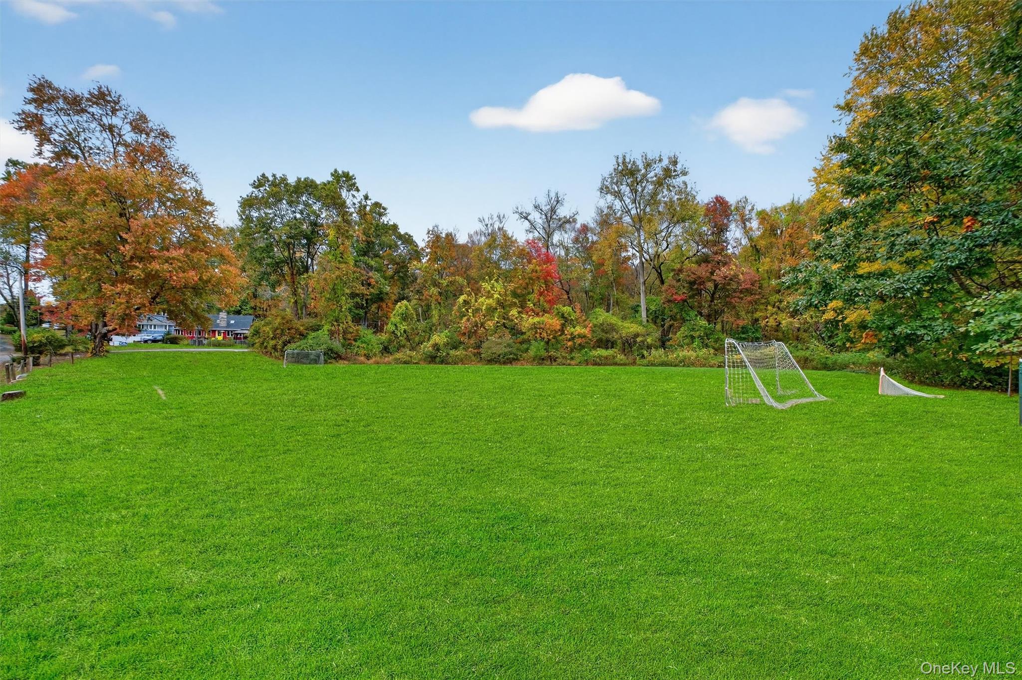 13 Perry Trail Carmel, NY 10512 - Photo 46 of 49 Open field available for baseball, soccer, lacrosse or other outdoor activities.