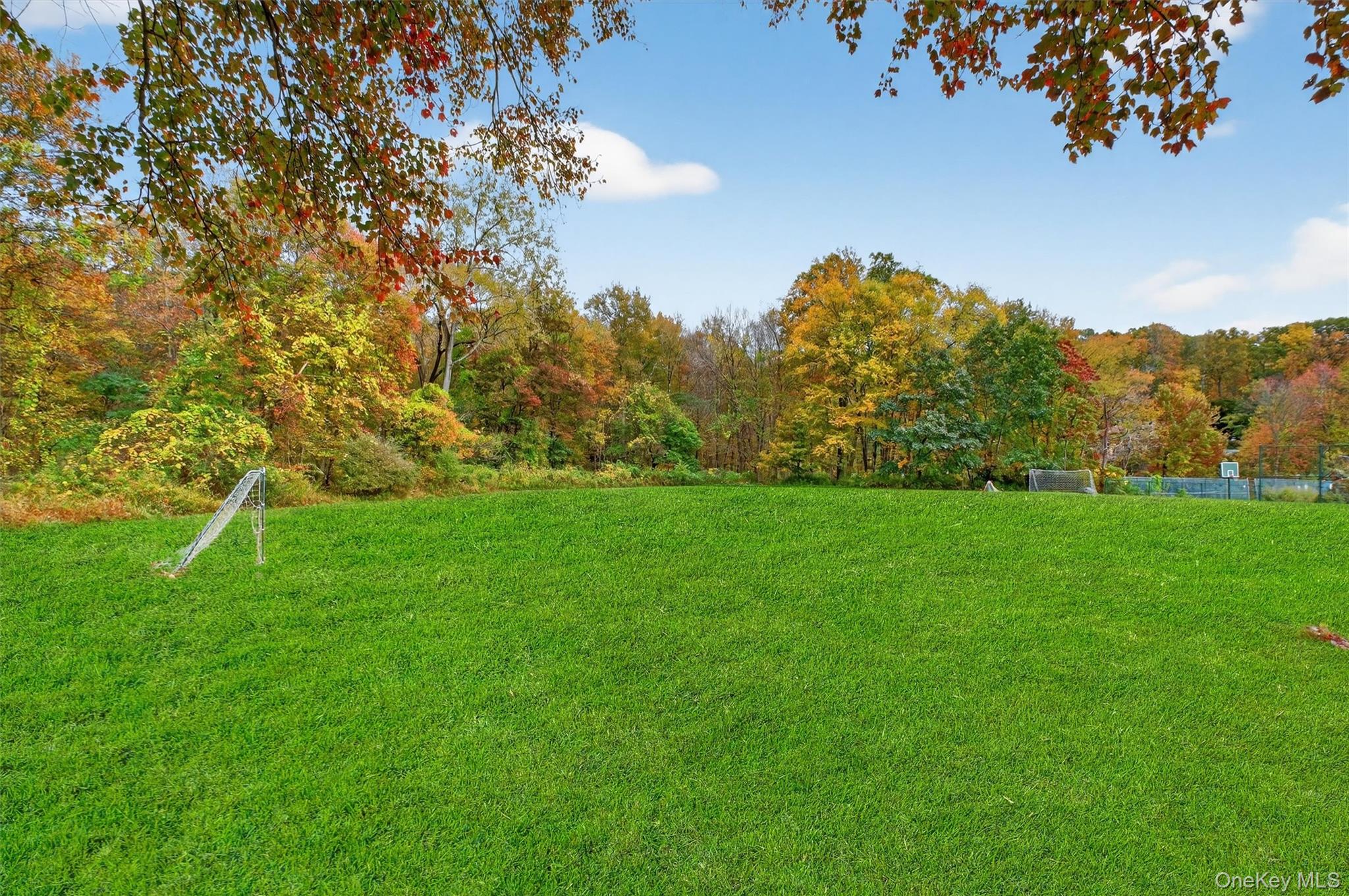 13 Perry Trail Carmel, NY 10512 - Photo 47 of 49 Community events include camping, tag sales, live music and outdoor movies.