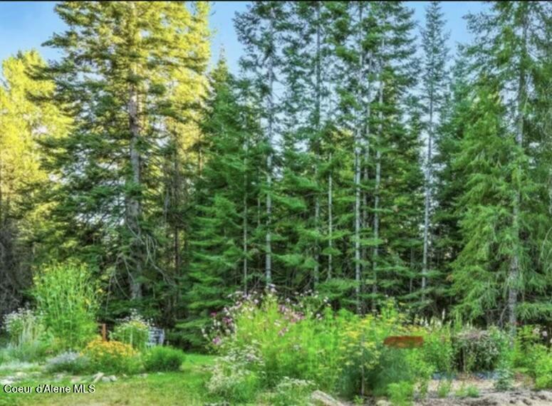 633 Old Mill Road Sandpoint, ID 83864 - Photo 35 of 50 IMG_0089