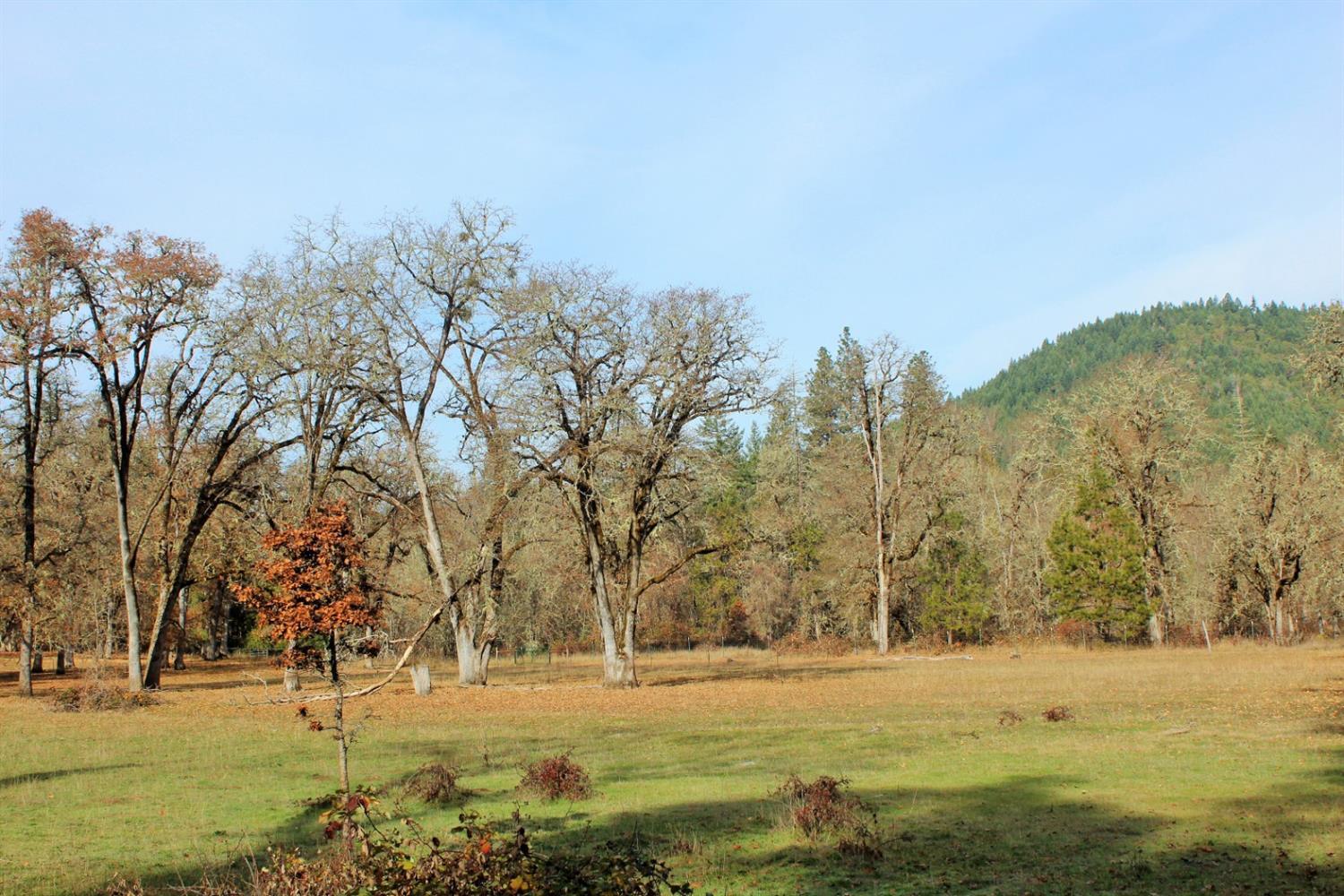 311 Beecher Road Wolf Creek, OR 97497 - Photo 14 of 35 Additional Photo