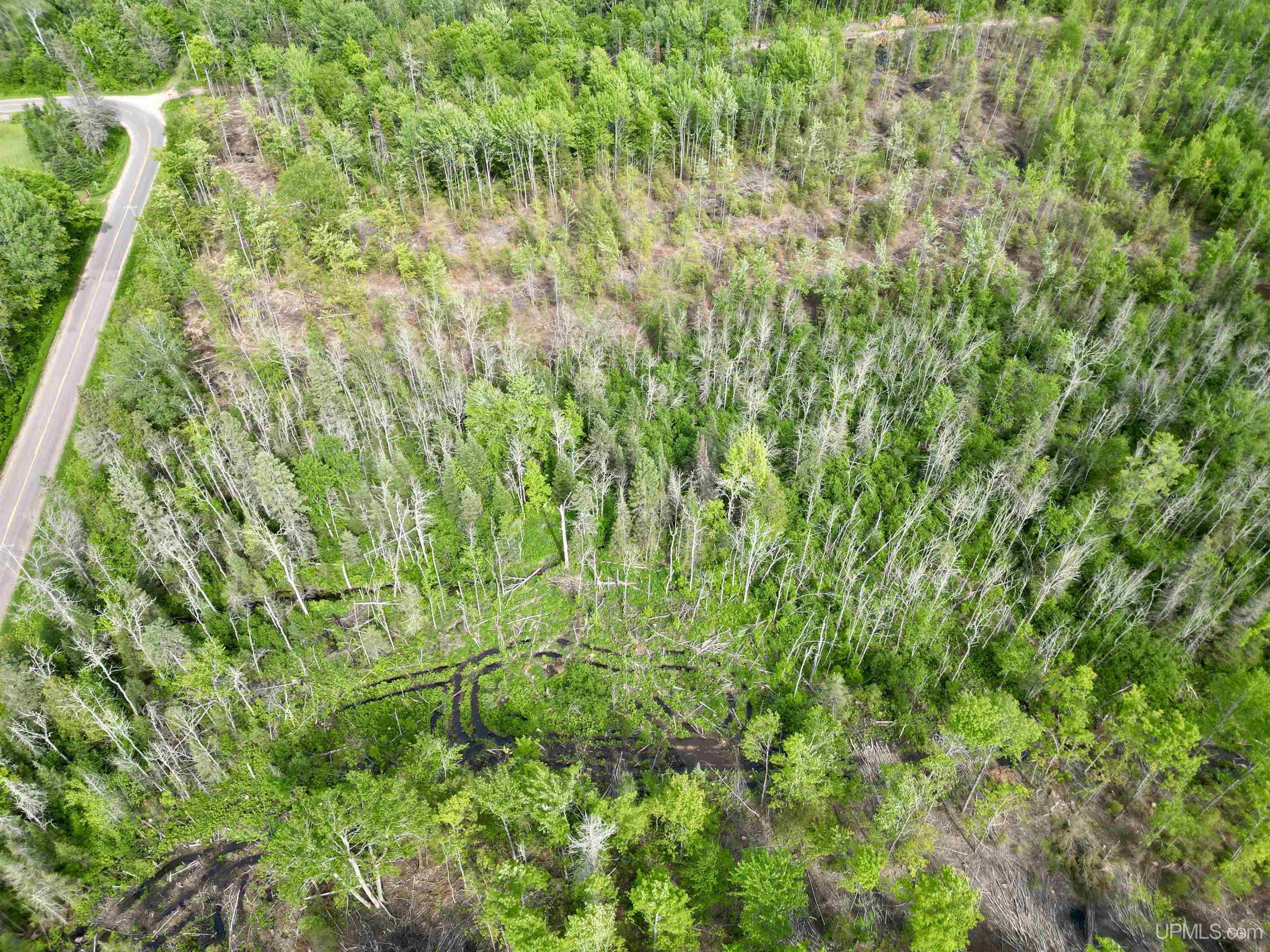 3601 Cr444 Road Rock, MI 49880 - Photo 75 of 78