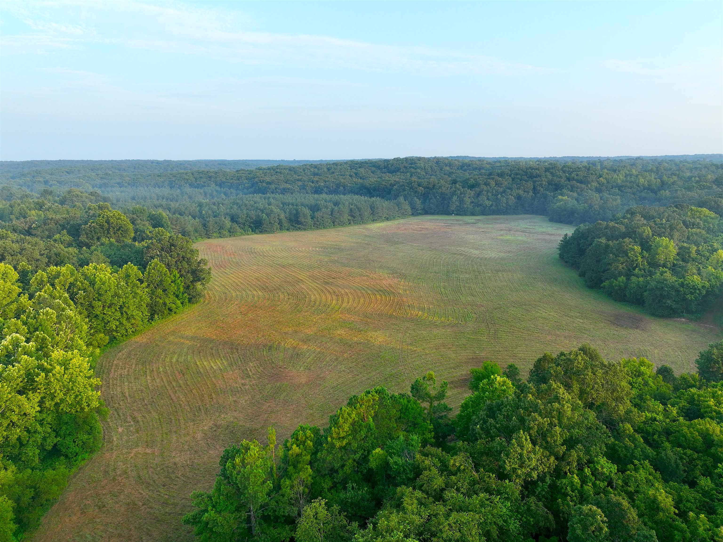 2530 West Fork Road Grand Junction, TN 38039 - Photo 20 of 40 Gallery Image 20