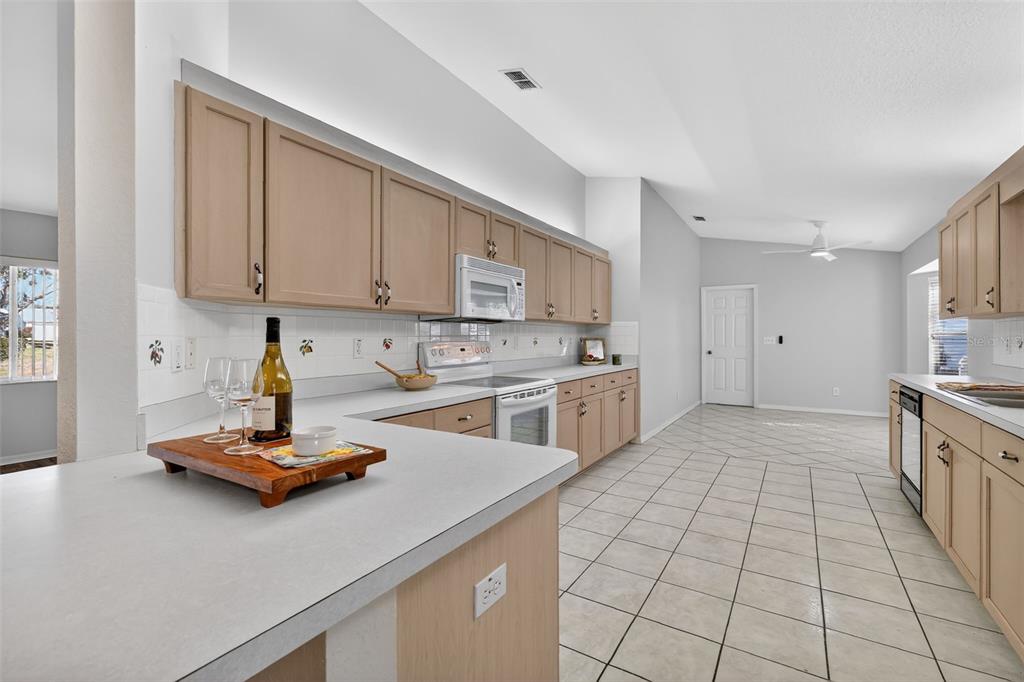9050 Southeast 135th Loop Summerfield, FL 34491 - Photo 13 of 29