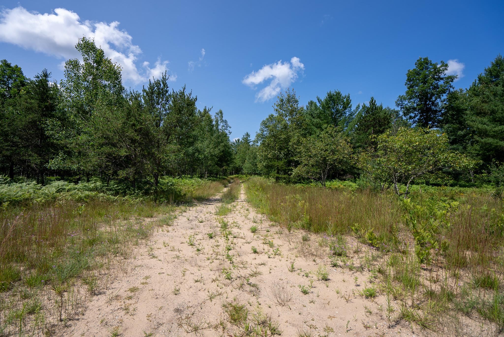 2817 Lake Road Fife Lake, MI 49633 - Photo 24 of 30