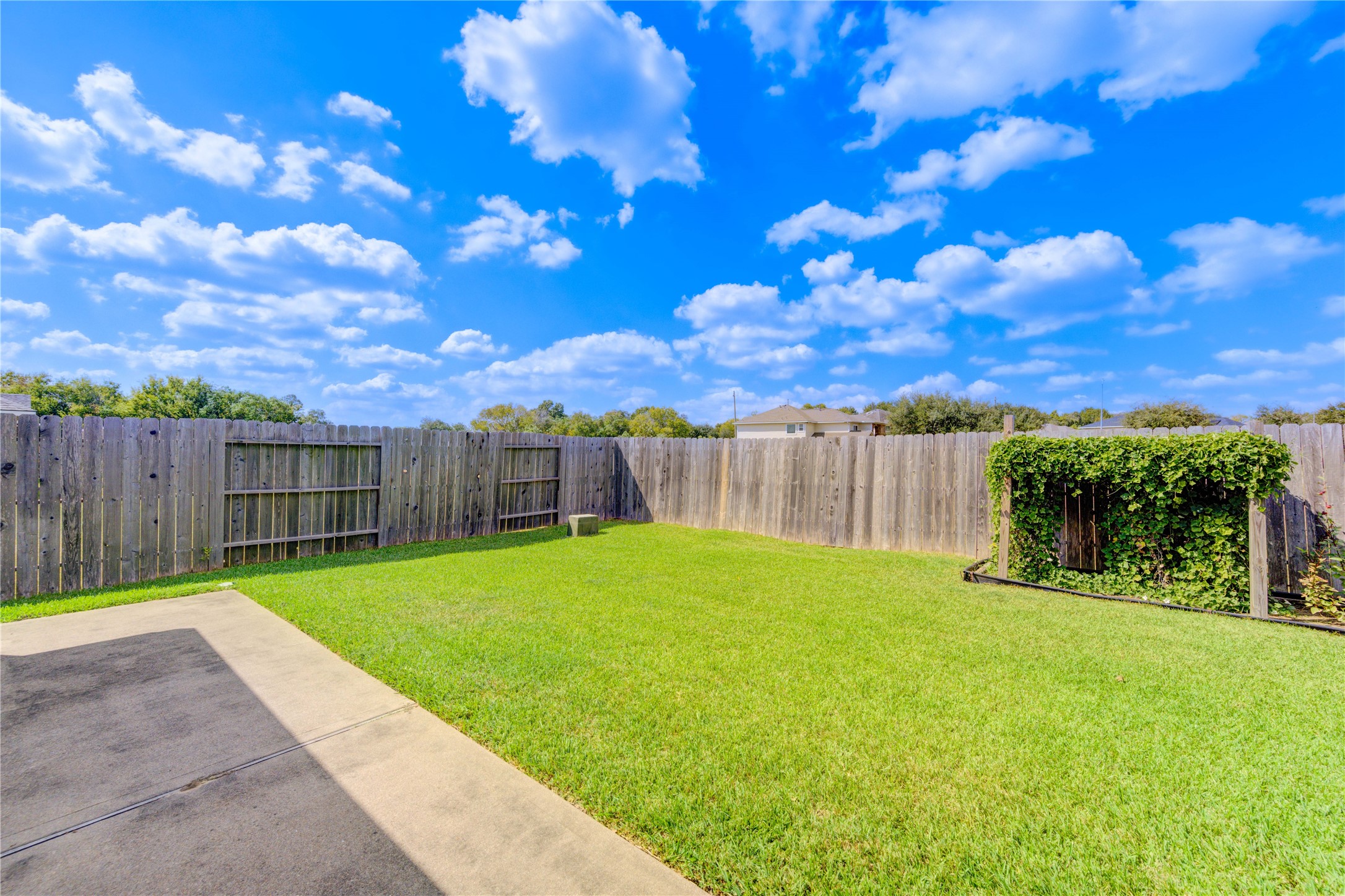 2922 Halcyon Time Trail Houston, TX 77045 - Photo 50 of 50 a view of a backyard with a tree