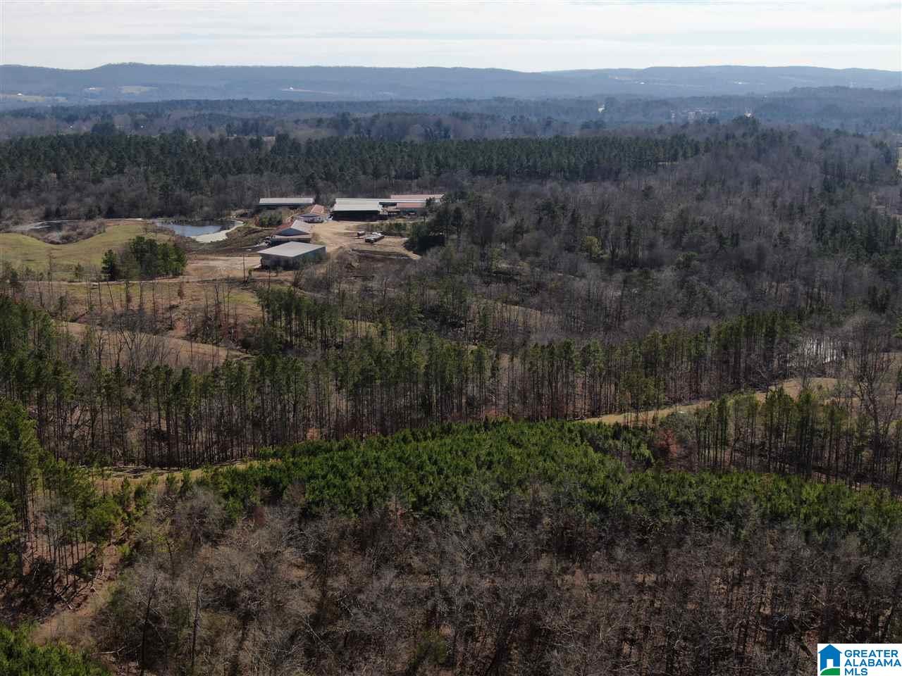 79 Highway 79 Cleveland, AL 35049 - Photo 24 of 36