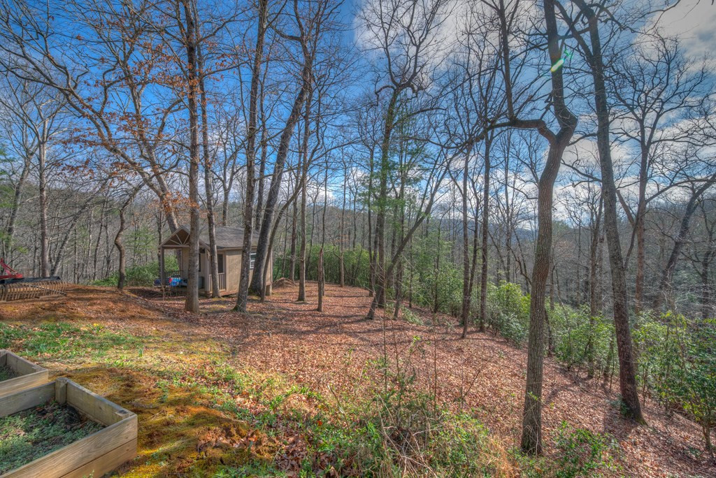 118 Hothouse Crk Road Murphy, NC 28906 - Photo 10 of 41