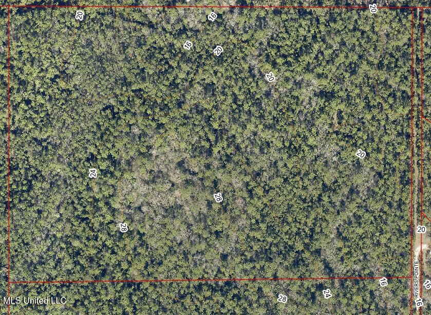 0 Rivers Pointe Drive Diberville, MS 39540 - Photo 2 of 7 26.6acNorthContours
