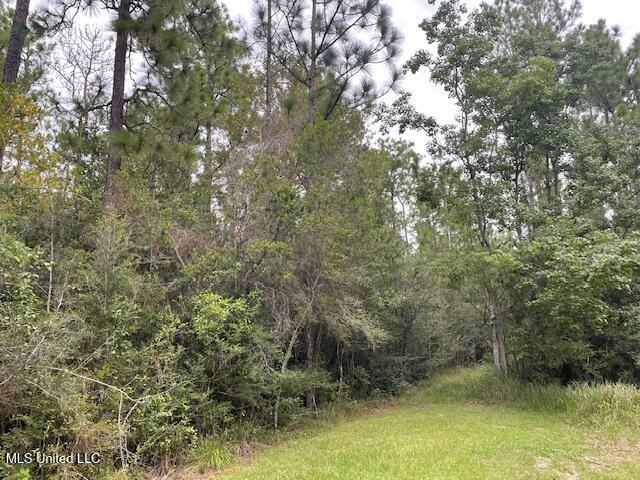 0 Rivers Pointe Drive Diberville, MS 39540 - Photo 5 of 7 26.6acEastBoundary