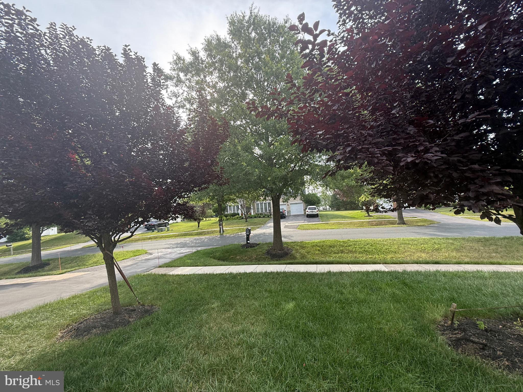 15224 Lions Den Road Burtonsville, MD 20866 - Photo 12 of 28