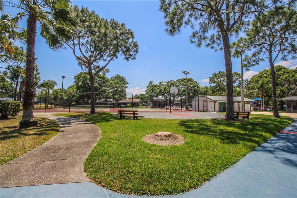 415 Cedar Ridge Court Oldsmar, FL 34677 - Photo 31 of 38 Gallery Image 31