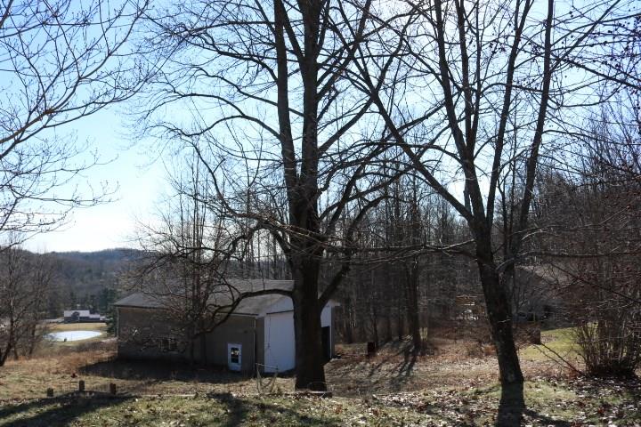 2002 Wida Road Indiana, PA 15701 - Photo 3 of 15