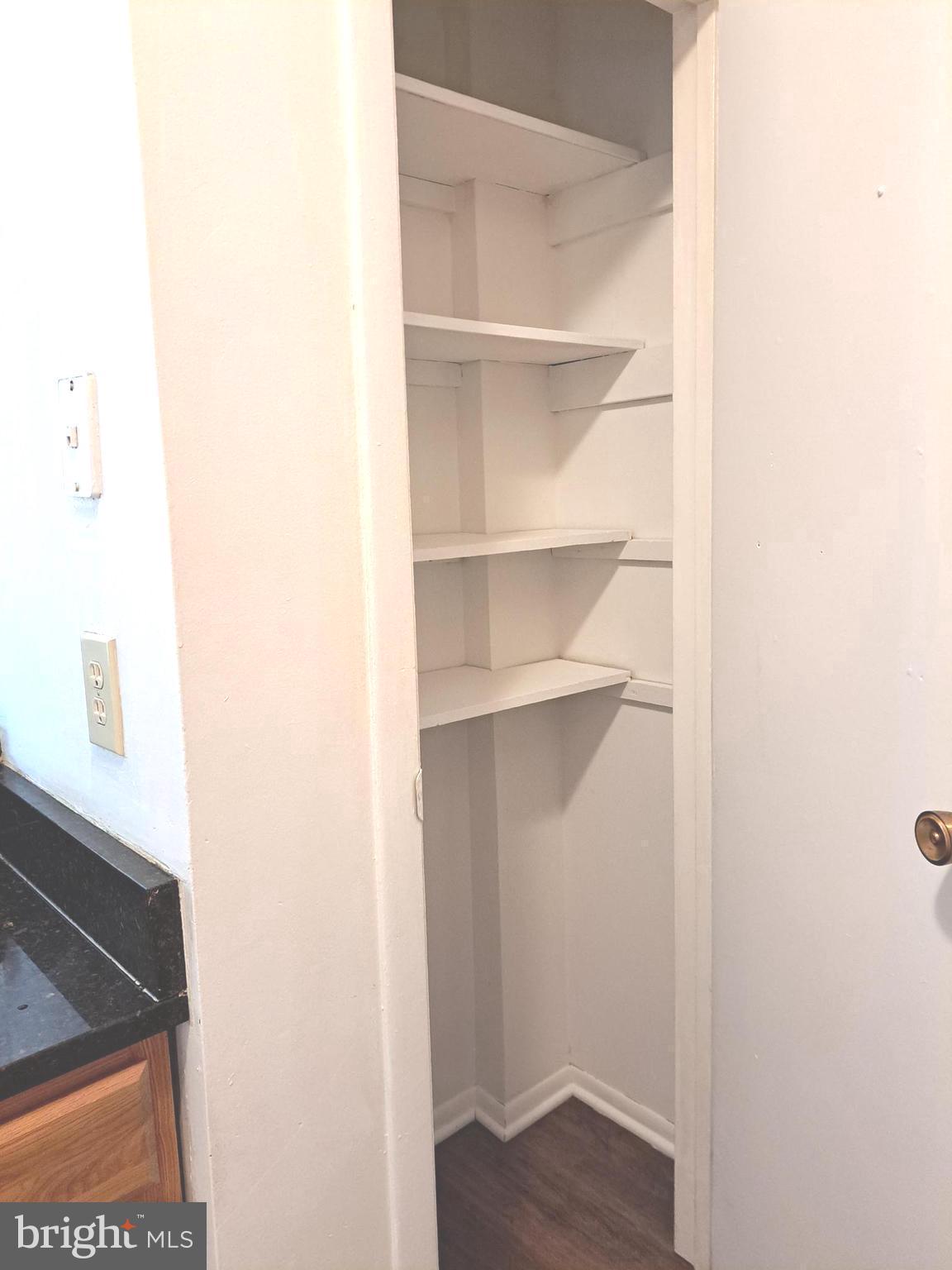 5814 Royal Ridge Drive, Unit F Springfield, VA 22152 - Photo 29 of 35 Pantry