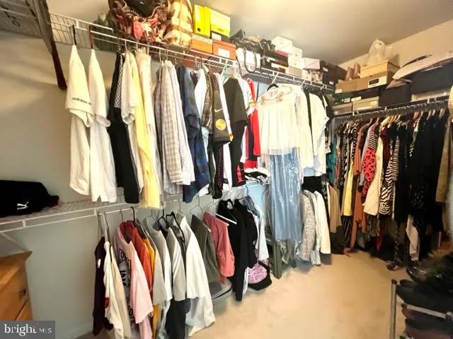 a view of walk in closet with clothes
