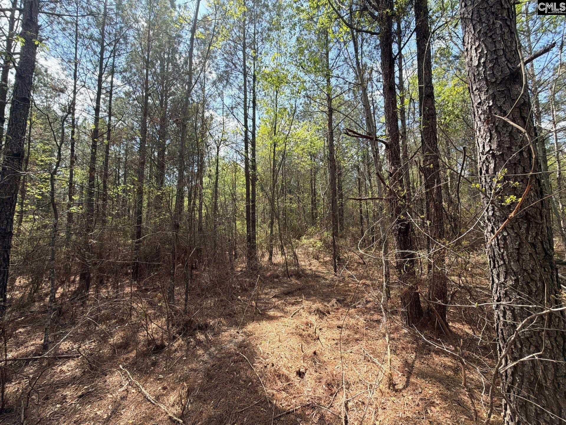 2 Mt Calvary Rd Ridge Spring, Unit CA 2 Ridge Spring, SC 29129 - Photo 18 of 29