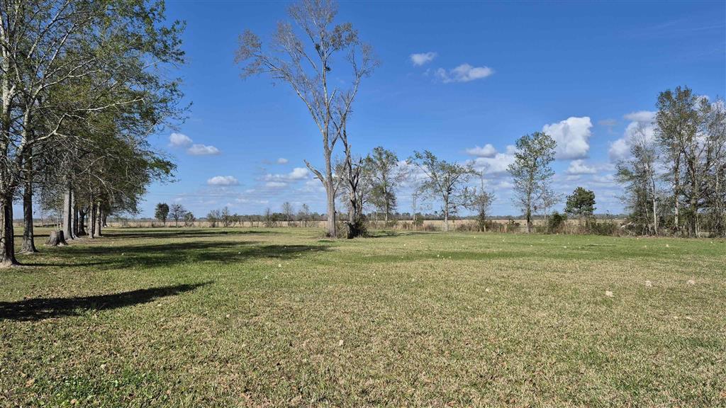 230 Day Road Ragley, LA 70657 - Photo 13 of 13