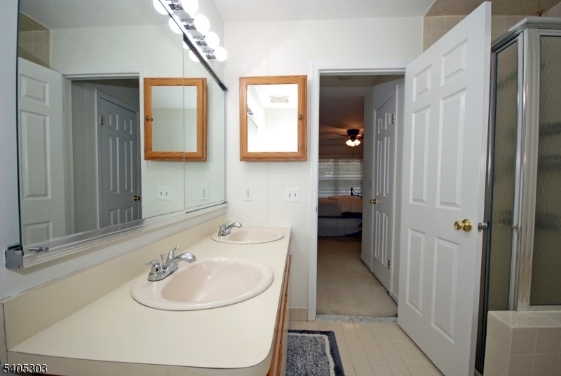 10 Apache Way Somerville, NJ 08876 - Photo 25 of 37 a bathroom with a sink a toilet and mirror