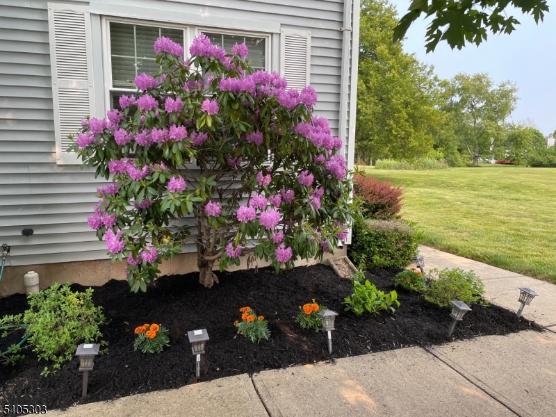 10 Apache Way Somerville, NJ 08876 - Photo 3 of 37 a view of a flowers in front of a house