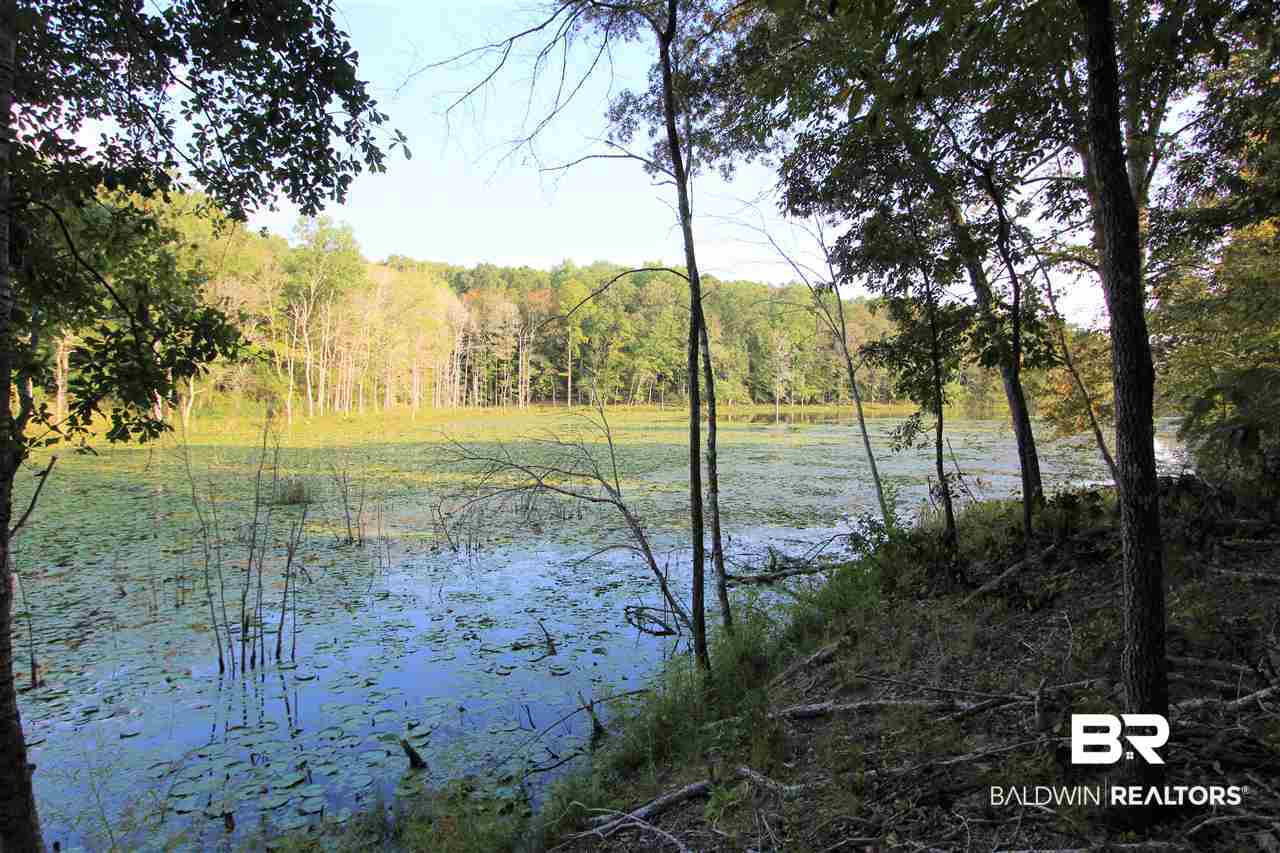 794 Dry Lake Road Luverne, AL 36049 - Photo 26 of 48 Adjoining Lake