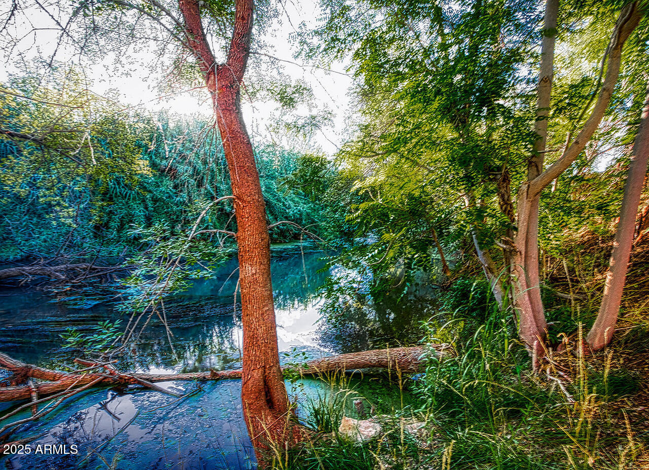 275 South Bonito Ranch Loop, Unit 25 Cornville, AZ 86325 - Photo 23 of 27 a backyard of a house with lots of green space