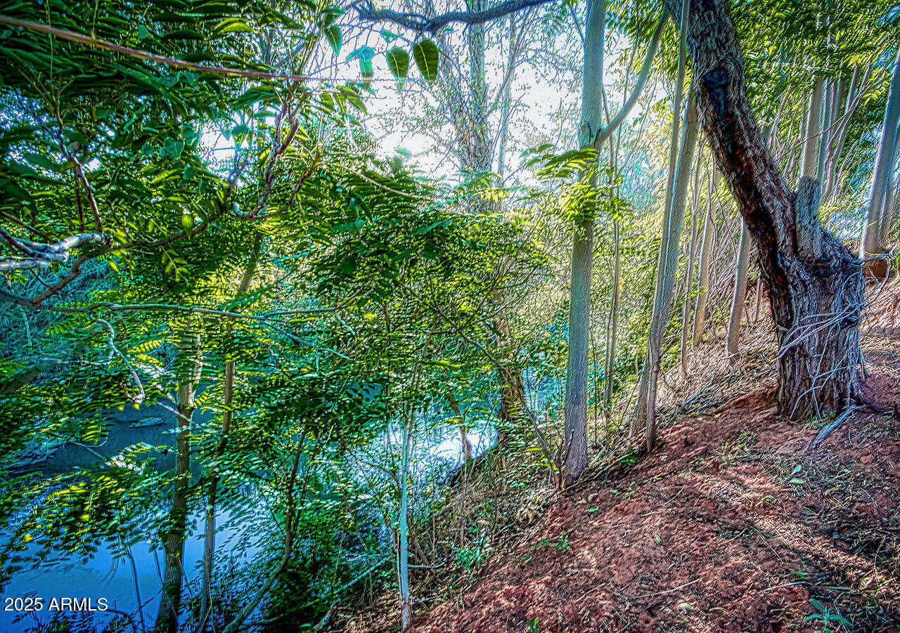 275 South Bonito Ranch Loop, Unit 25 Cornville, AZ 86325 - Photo 24 of 27 a backyard of a house with lots of green space