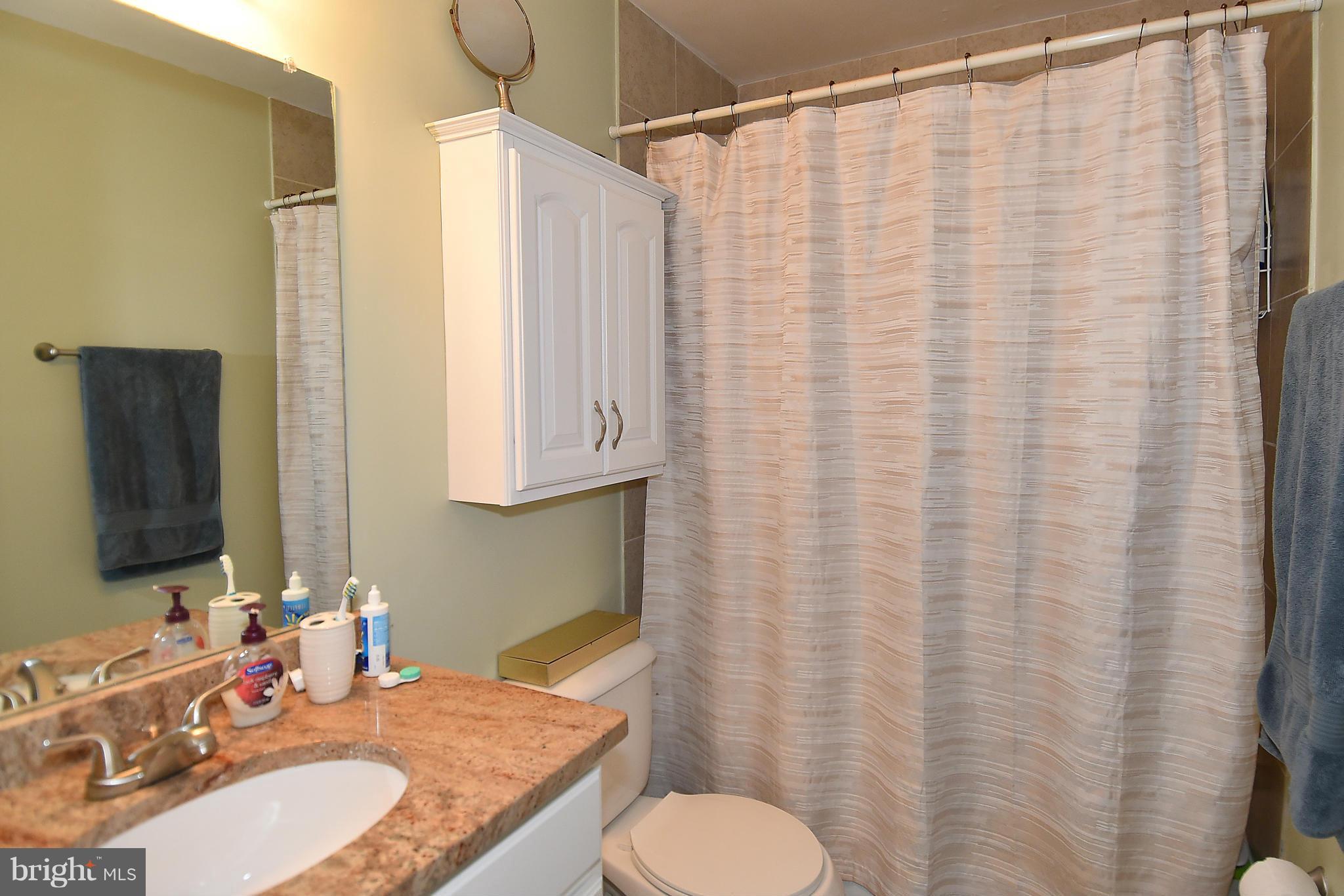 8451 Brainerd Court Springfield, VA 22153 - Photo 14 of 30 Bath (Master)
