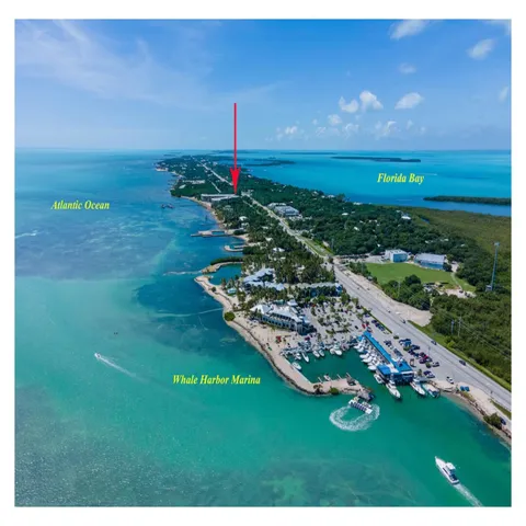 an aerial view of a house with a garden and lake view