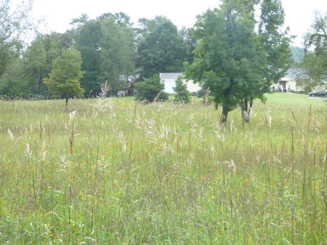 5 Stump Hollow Road Spring City, TN 37381 - Photo 8 of 19