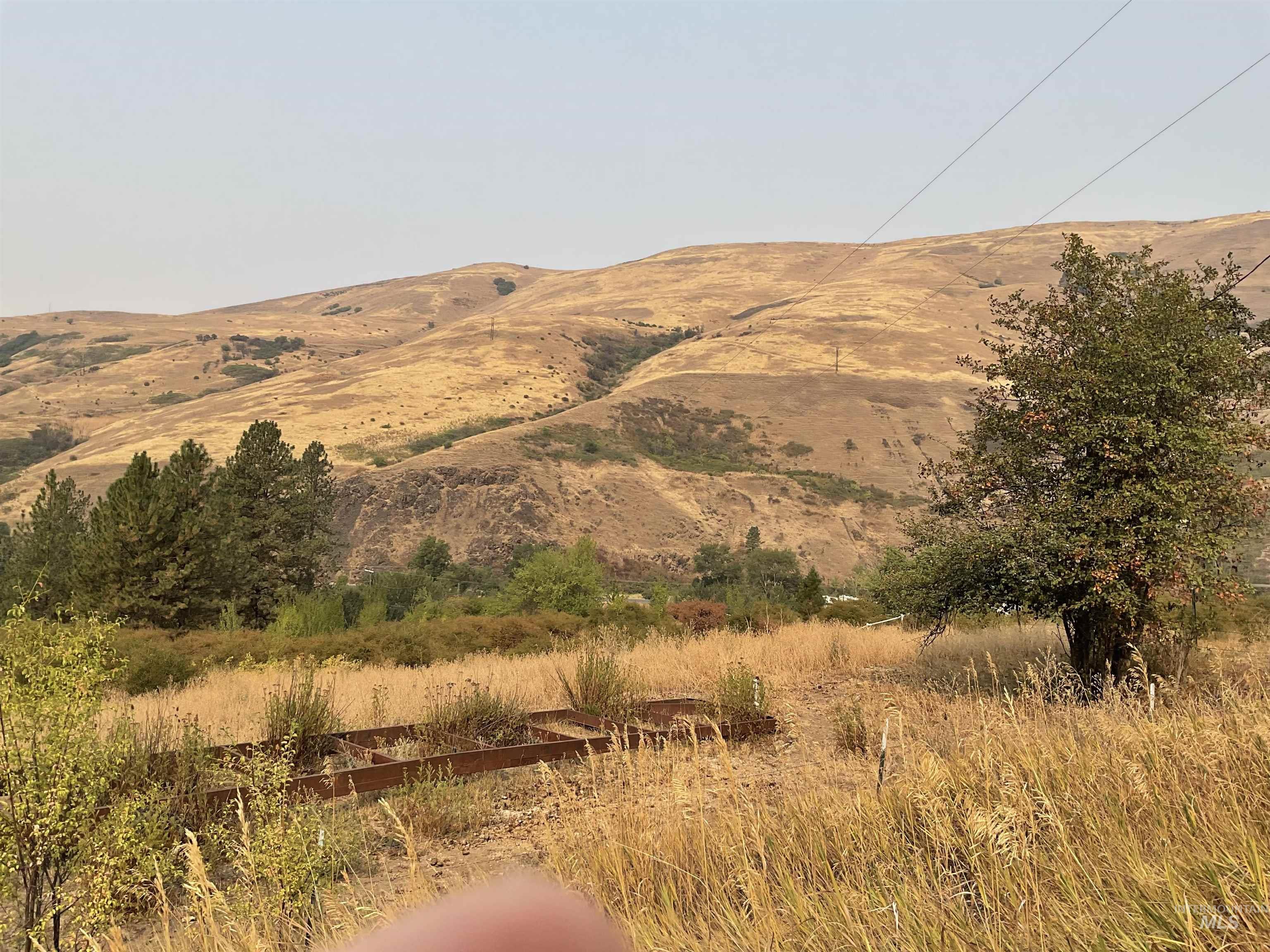 13790 Cross Farm Road Juliaetta, ID 83535 - Photo 14 of 22 Mountain view