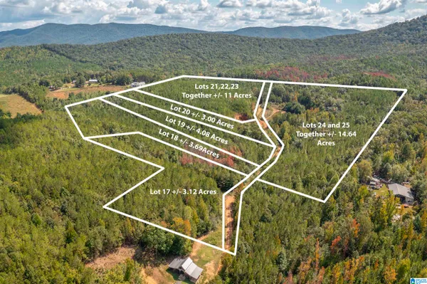 $23,900 | 3-acres Forest Edge Lane, Unit 20, Piedmont, AL 36272