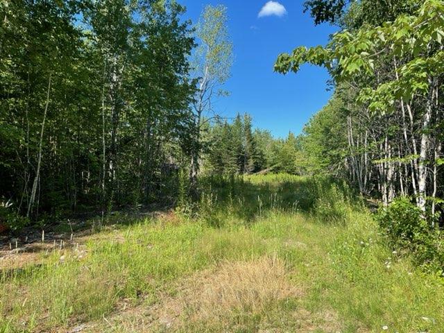 Lot 14-1 Ridge Road Bradford, ME 04410 - Photo 12 of 20 Recreation Awaits You